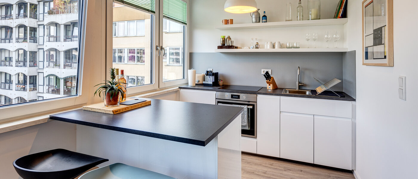 квартира München Haidhausen 01 кухня 13907