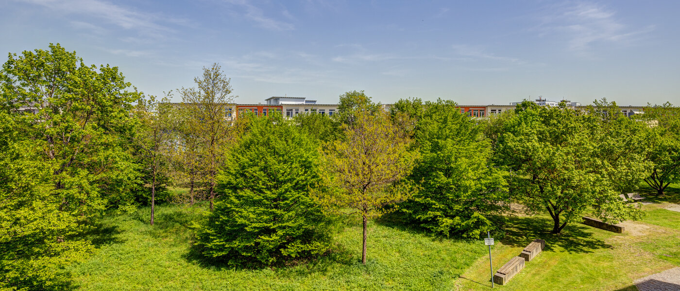 квартира München Trudering 04 вид из окна 13954