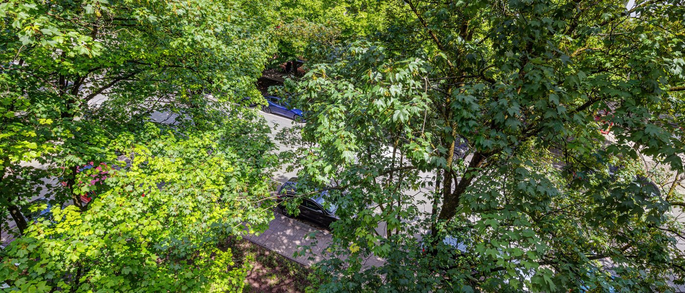 квартира München Lehel 02 вид из окна 13986