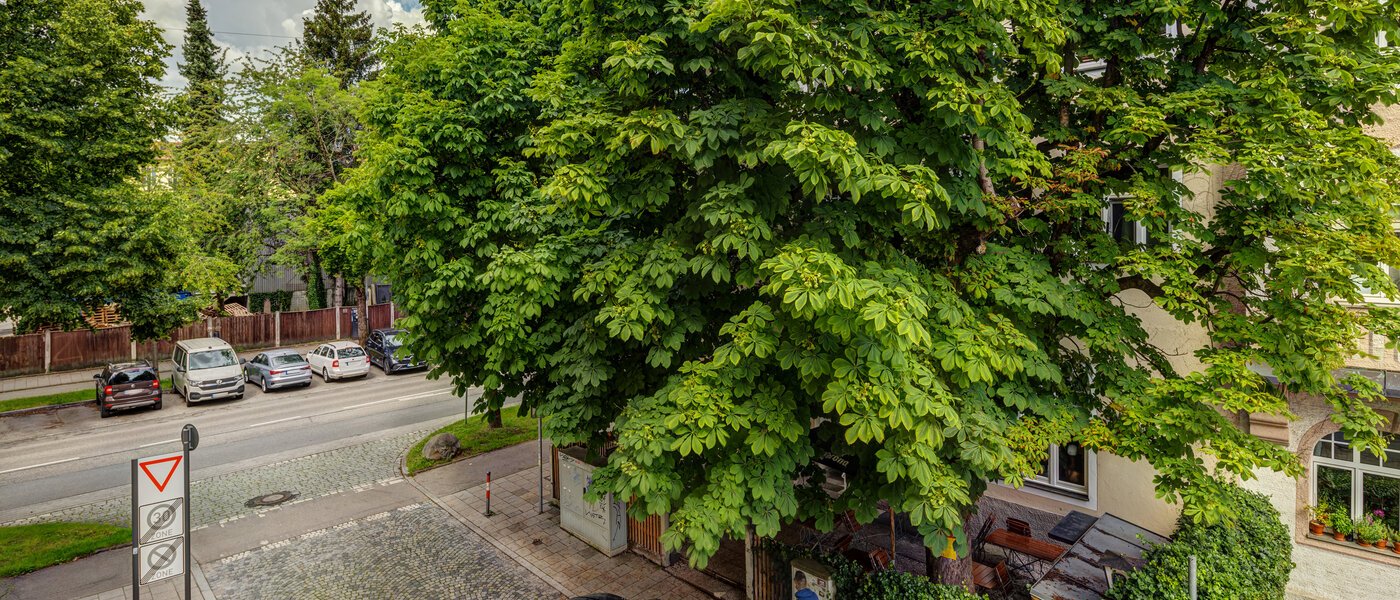 квартира München Thalkirchen 02 вид из окна 14008