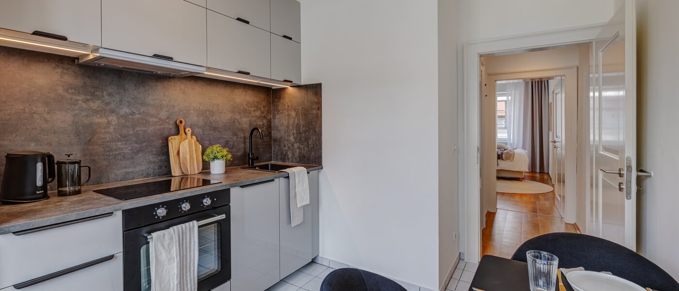 квартира München Lehel 03 кухня 14023