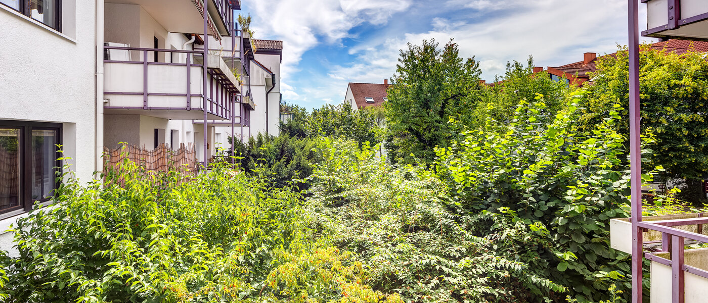 квартира Unterhaching 01 вид из окна 14113