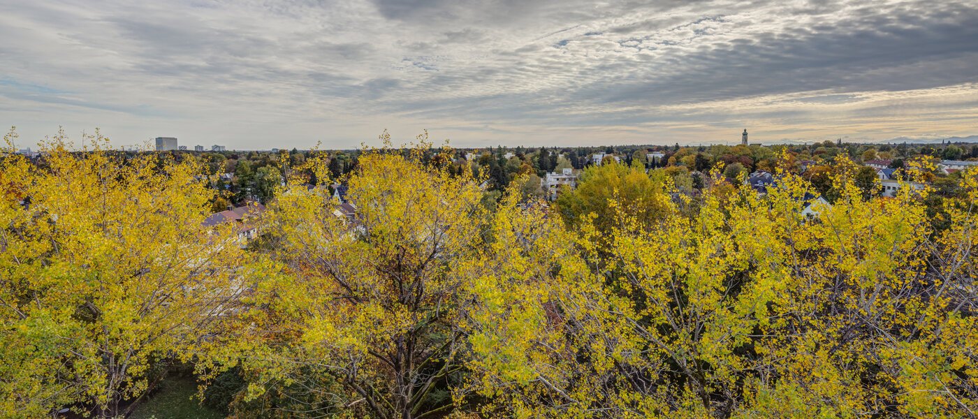 квартира München Parkstadt Solln 02 вид из окна 14205