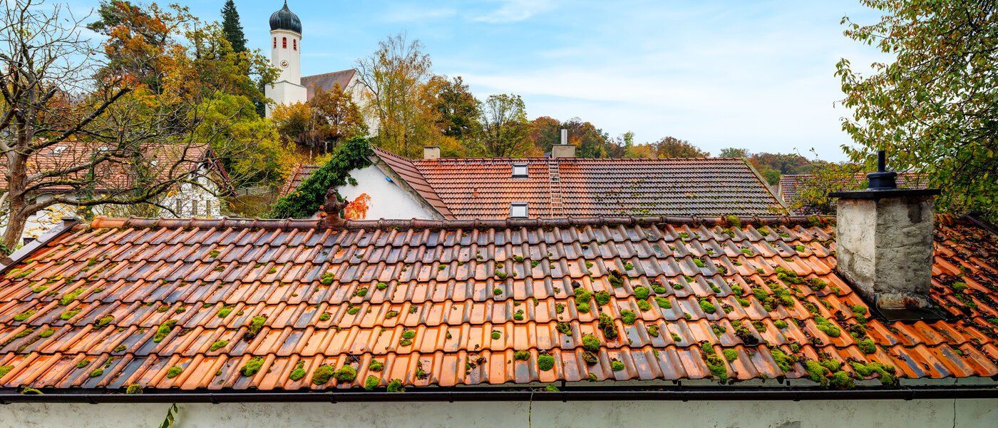 квартира Herrsching am Ammersee 02 вид из окна 14210