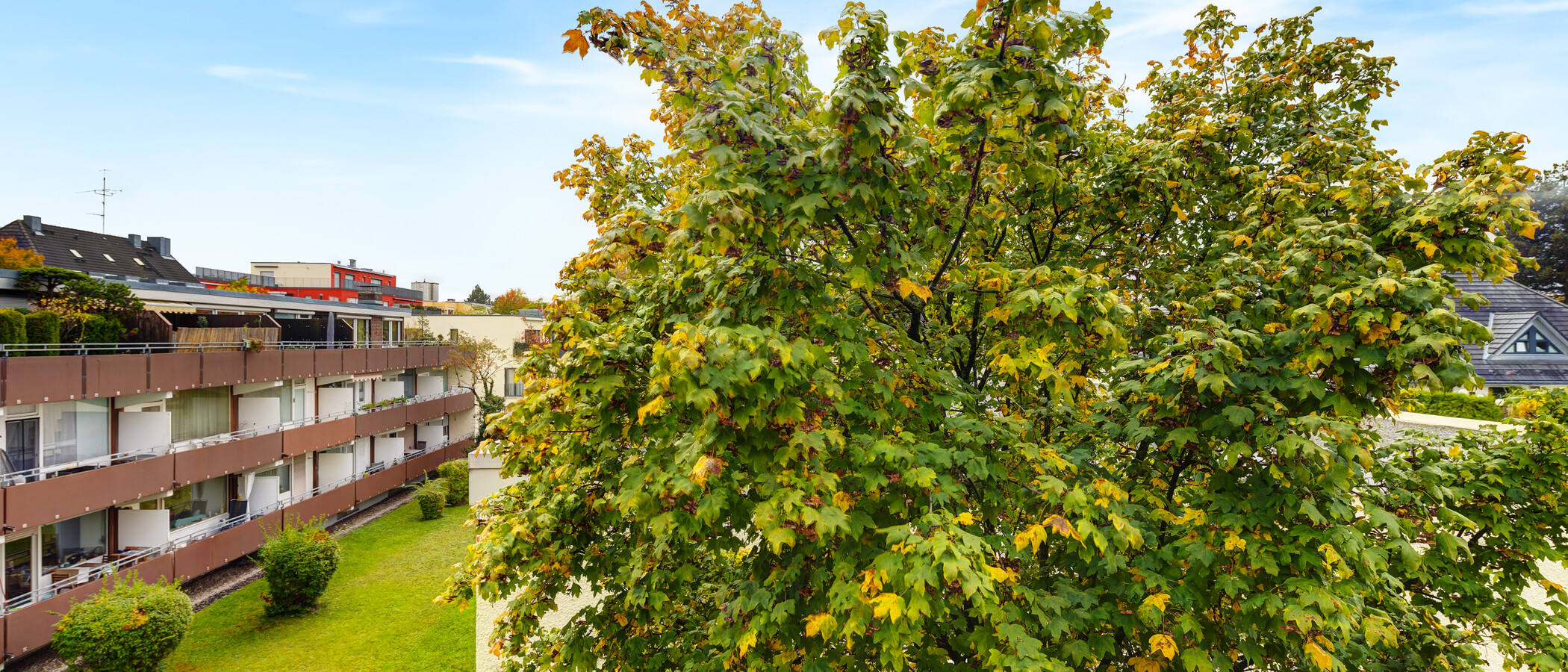 мансардная квартира München Großhadern 02 вид из окна 14211