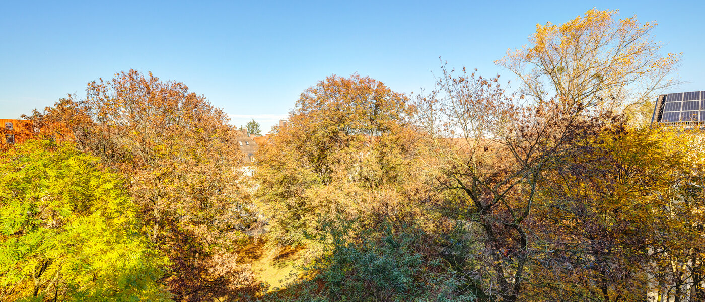 квартира München Harlaching 03 вид из окна 14232