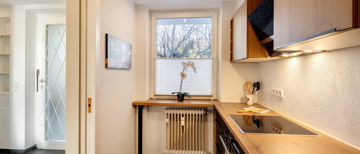 Таун-хаус Gmund am Tegernsee 03 кухня 14329