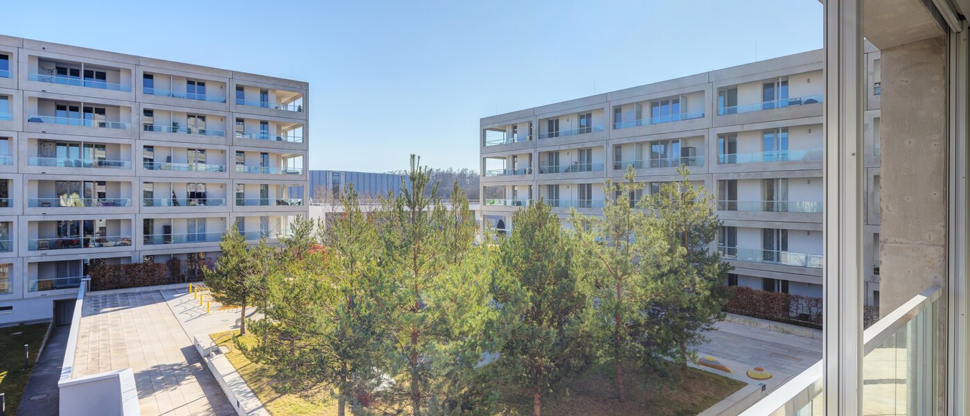 квартира München Allach 03 вид из окна 14367