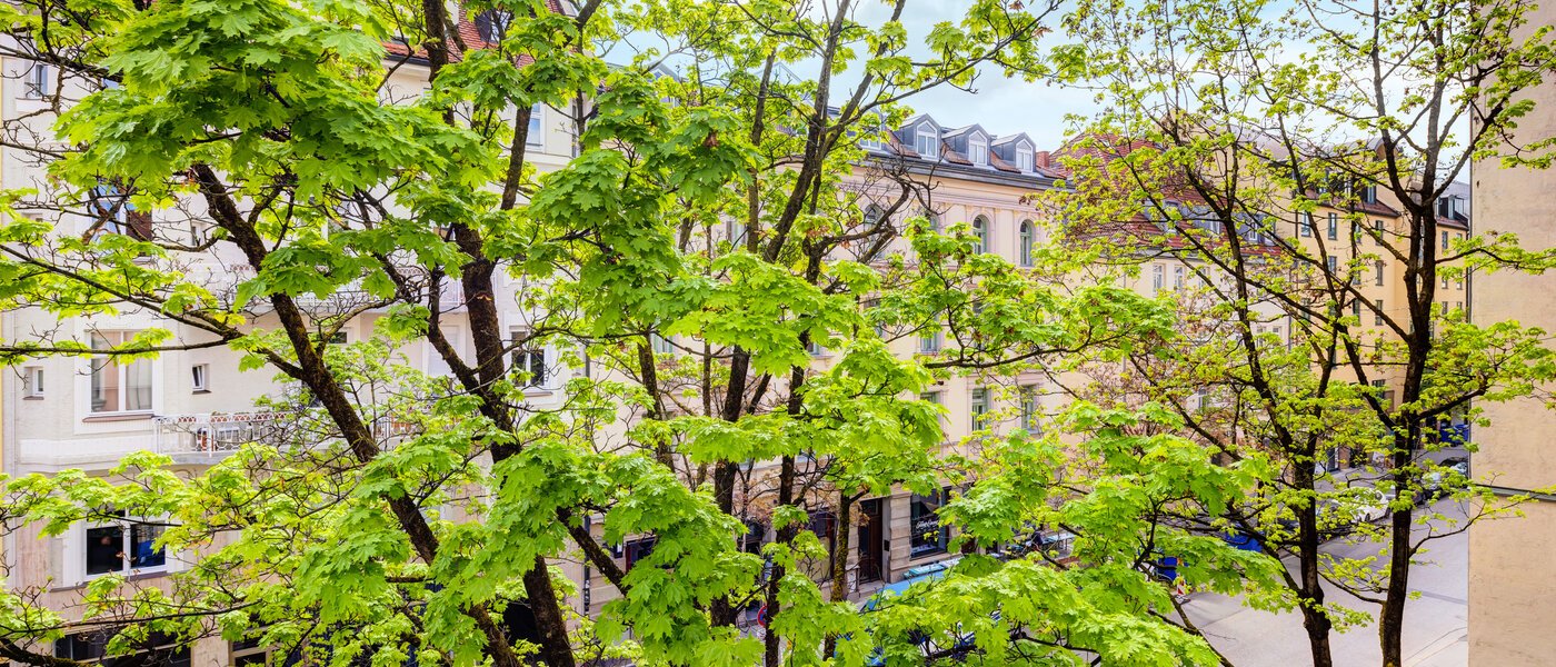 квартира München Maxvorstadt 02 вид из окна 14371