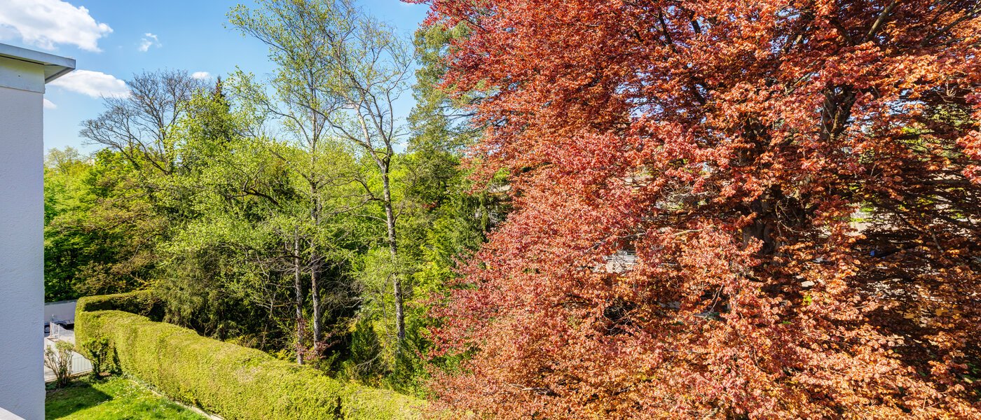 мансардная квартира München Solln 03 вид из окна 14396