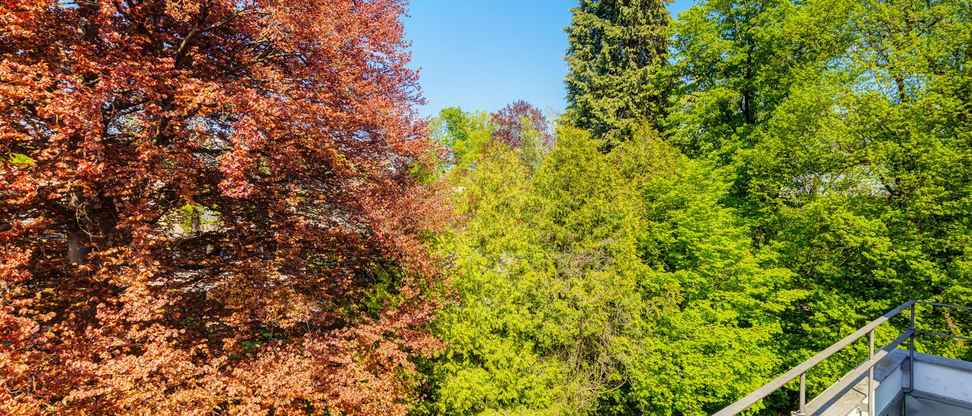 мансардная квартира München Solln 04 вид из окна 14396