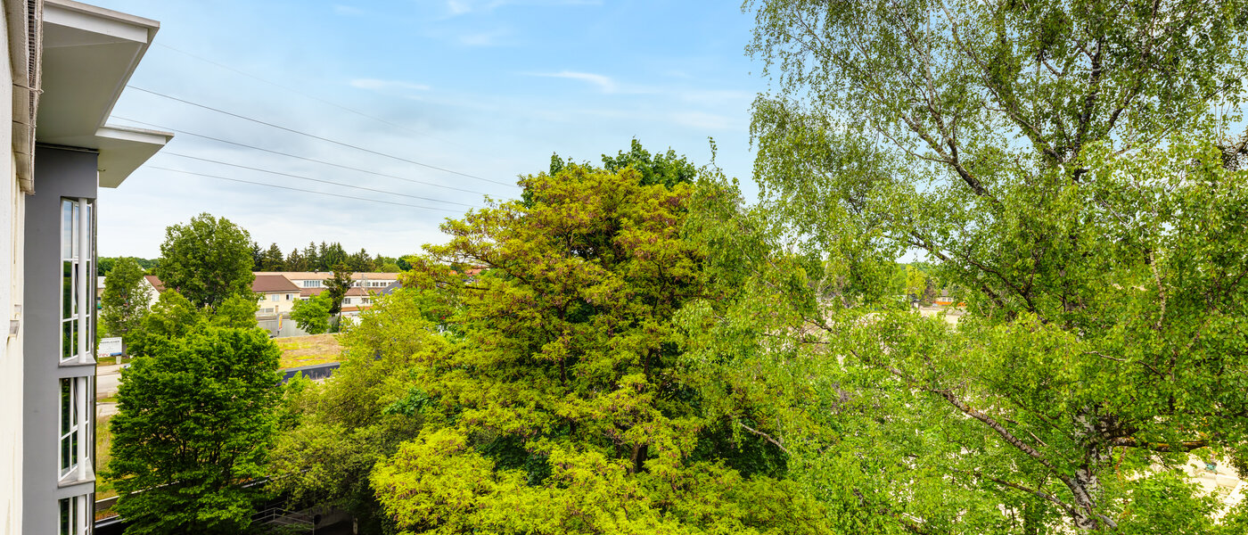 квартира München Freimann 01 вид из окна 14434