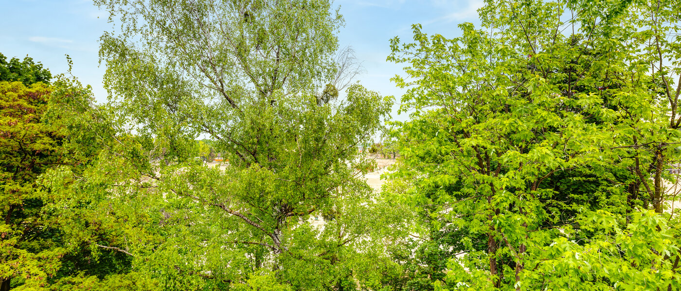 квартира München Freimann 02 вид из окна 14434