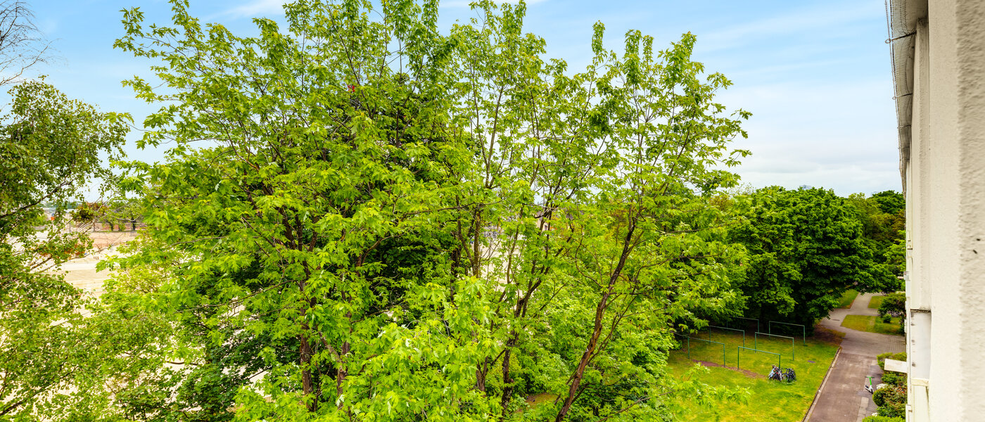 квартира München Freimann 03 вид из окна 14434