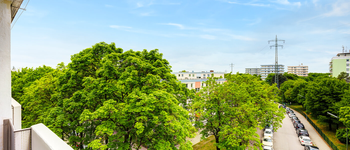 квартира München Freimann 04 вид из окна 14434