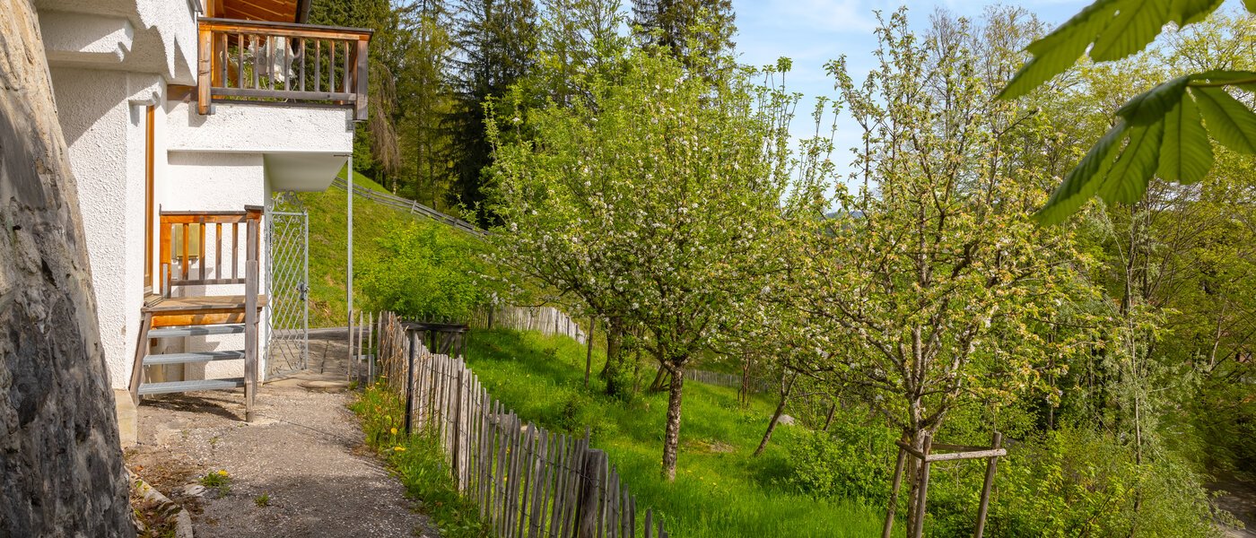 вилла Bad Wiessee 04 сад 14436