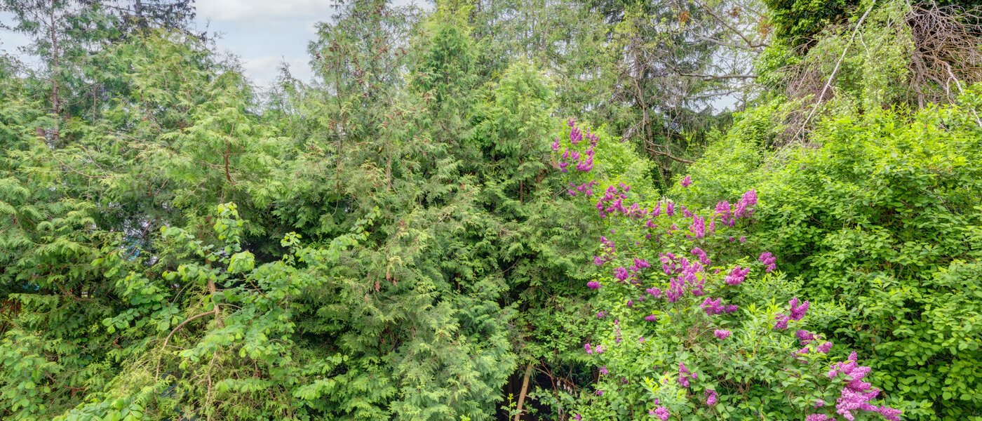 квартира München Thalkirchen 01 вид из окна 14439