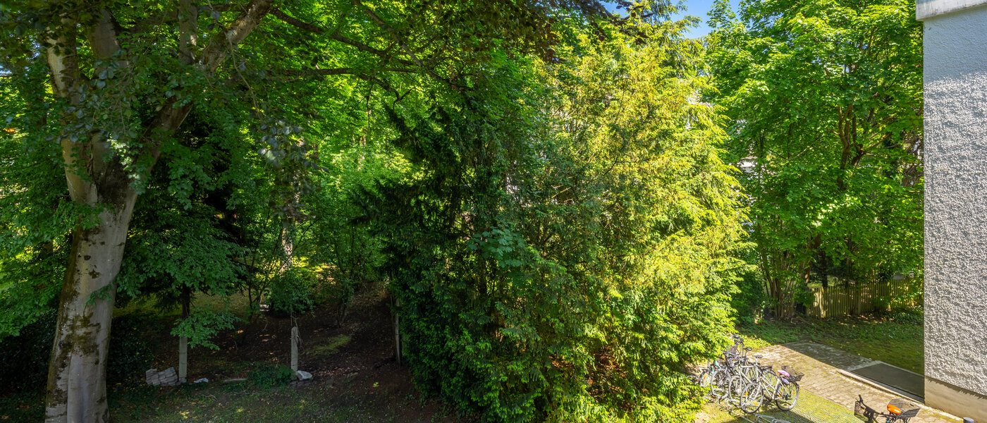 квартира München Menterschwaige 03 вид из окна 14458