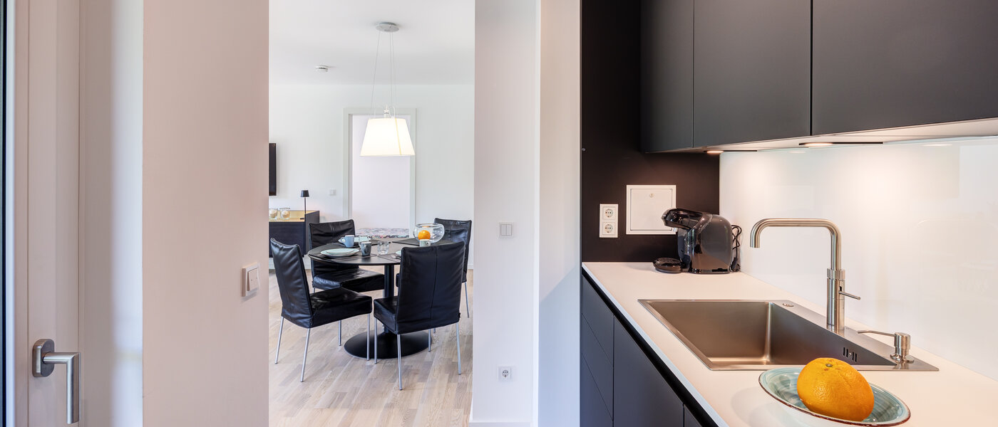 квартира Haar 04 кухня 14460