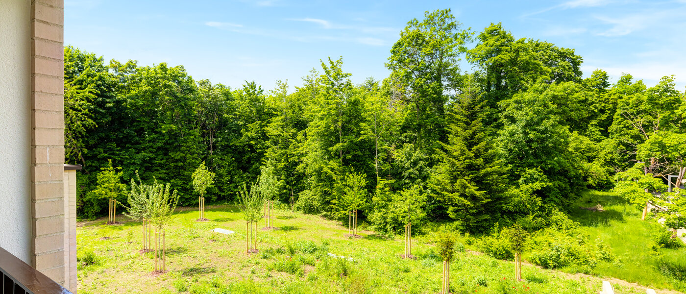 квартира Haar 01 вид из окна 14460