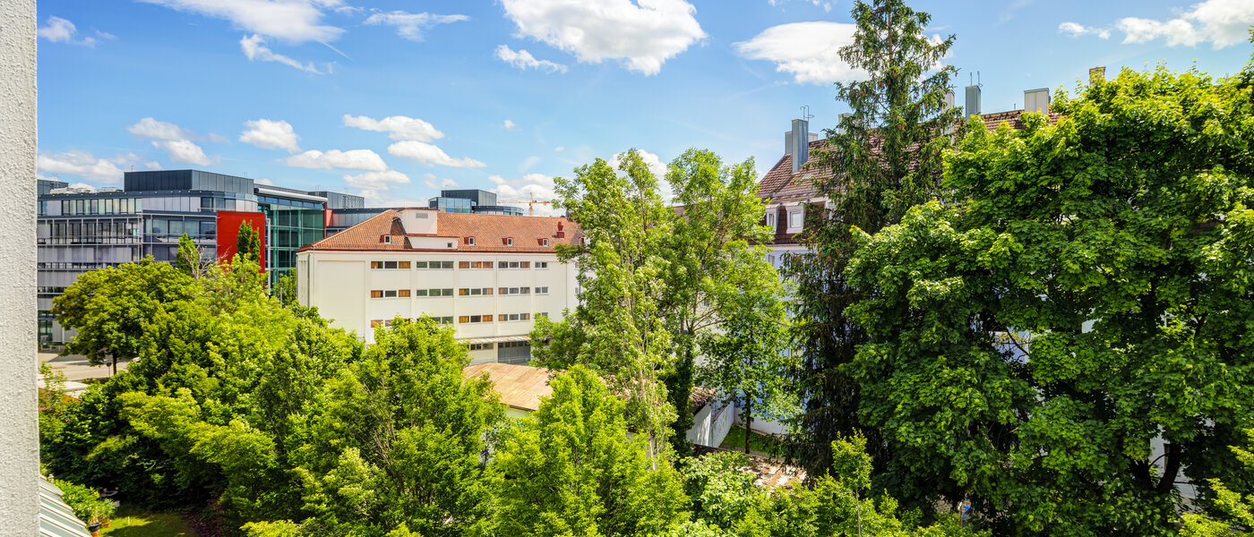 двухэтажная квартира-галерея München Obersendling 01 вид из окна 14471