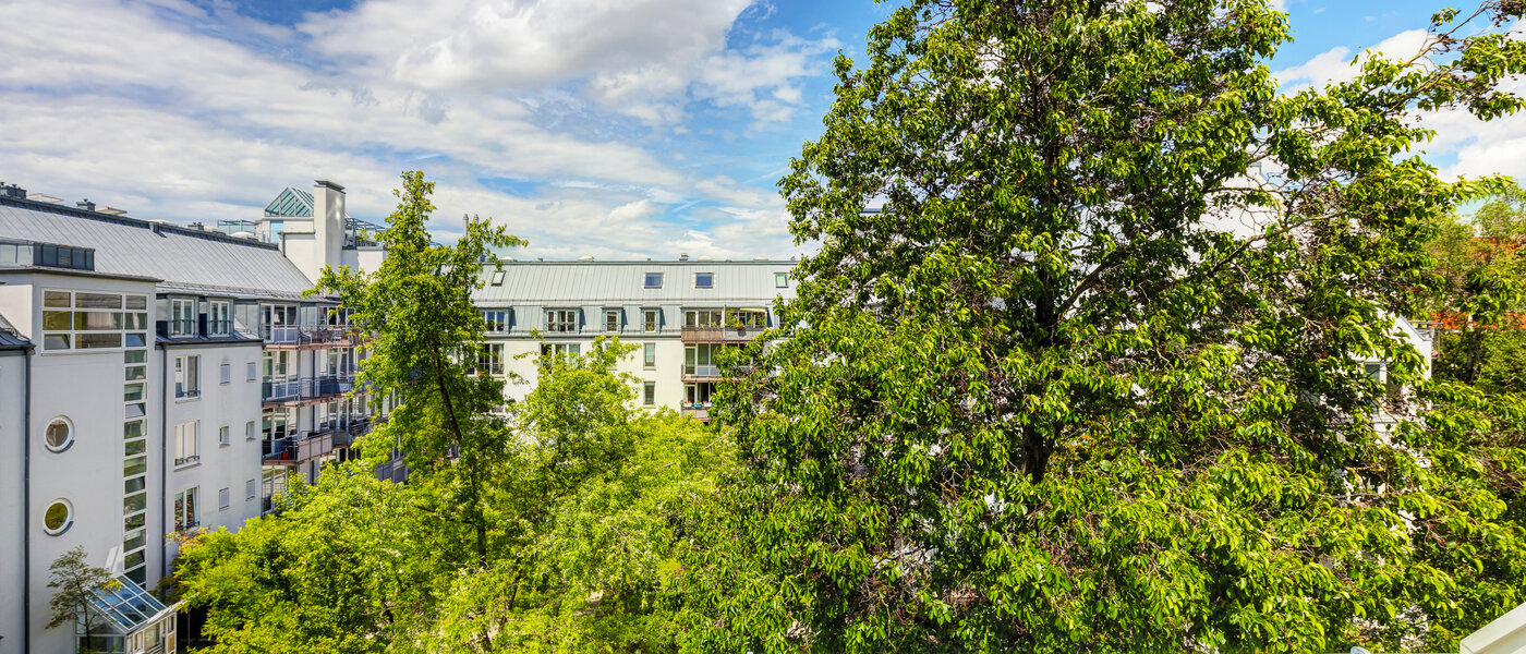 двухэтажная квартира-галерея München Obersendling 03 вид из окна 14471