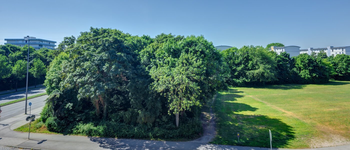 квартира München Am Hart 01 вид из окна 14506