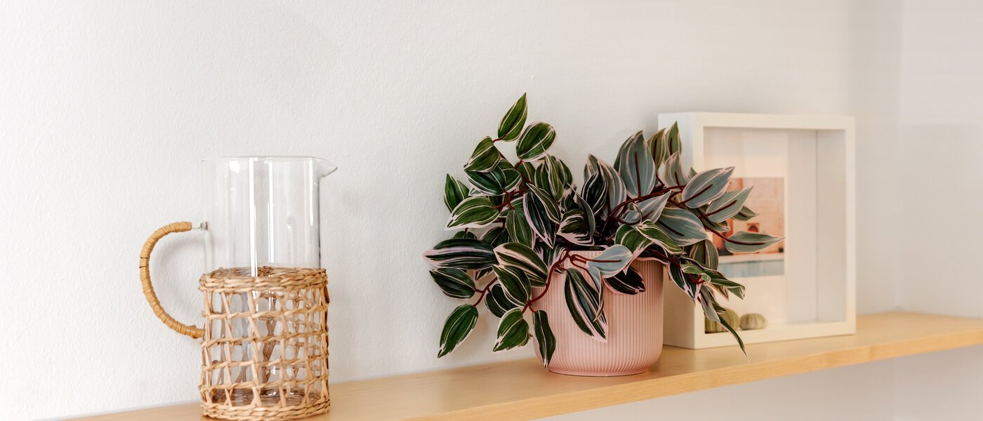 квартира München Schwanthalerhöhe 06 кухня 14508