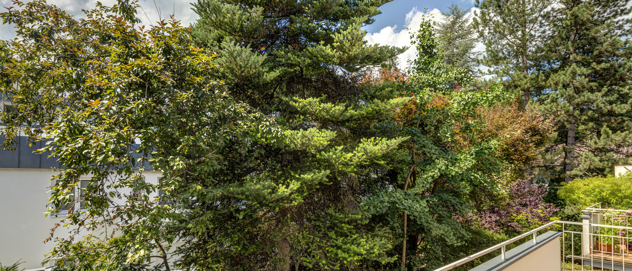 квартира München Solln 02 вид из окна 14509