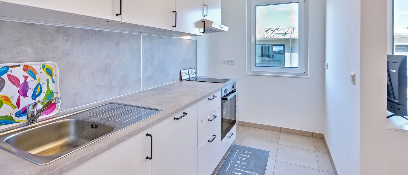 квартира Germering 02 кухня 14527