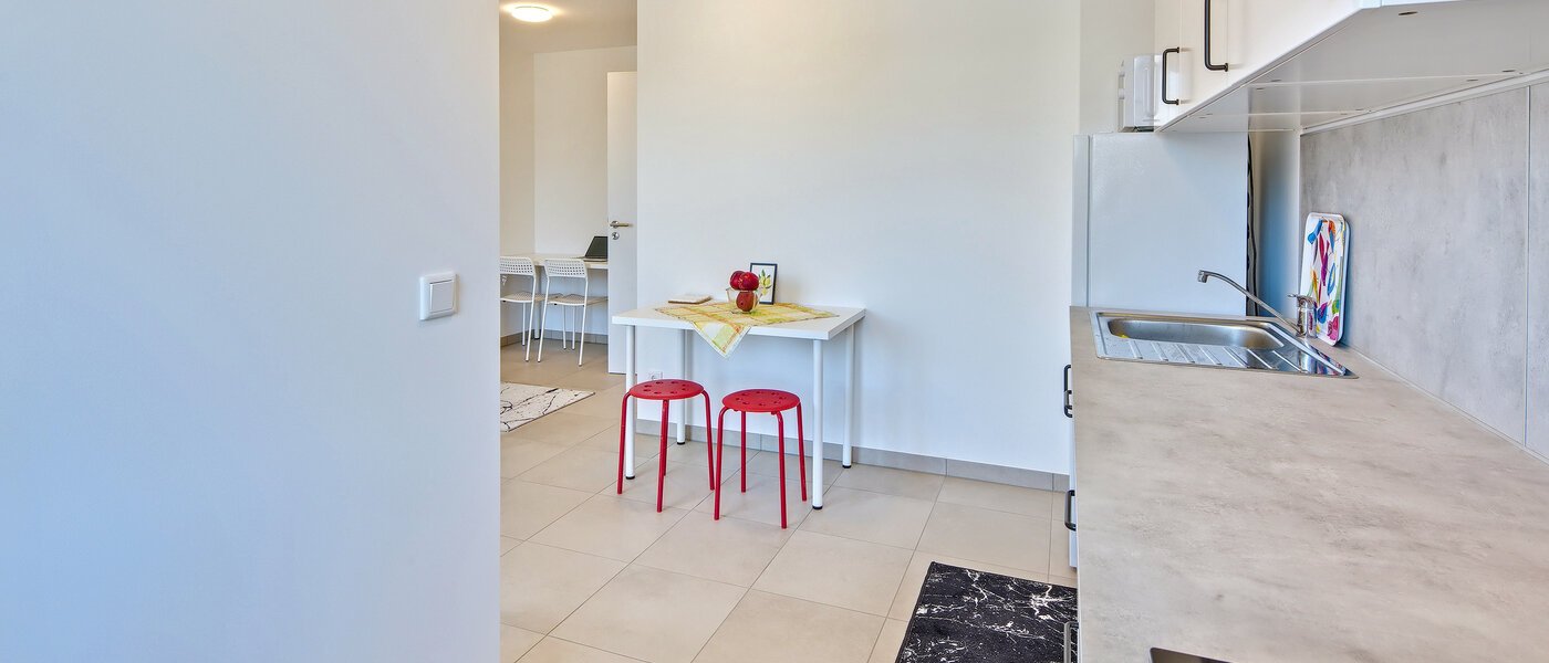 квартира Germering 03 кухня 14527