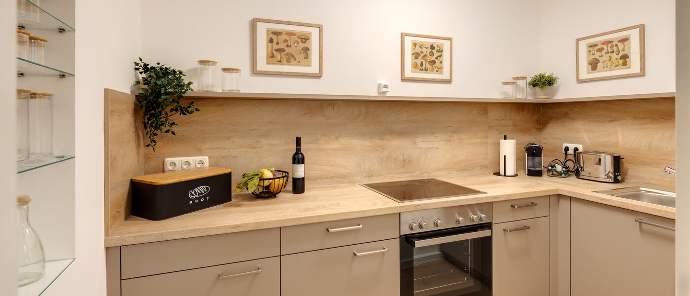 квартира Freising 01 кухня 14550