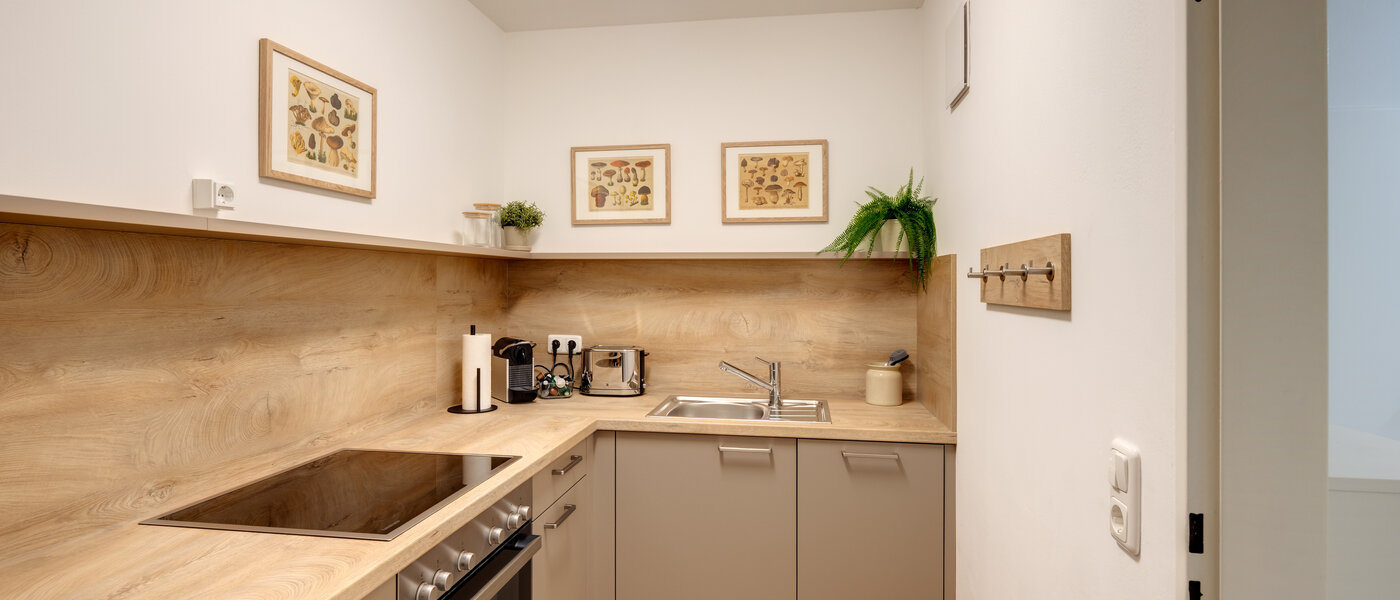 квартира Freising 02 кухня 14550