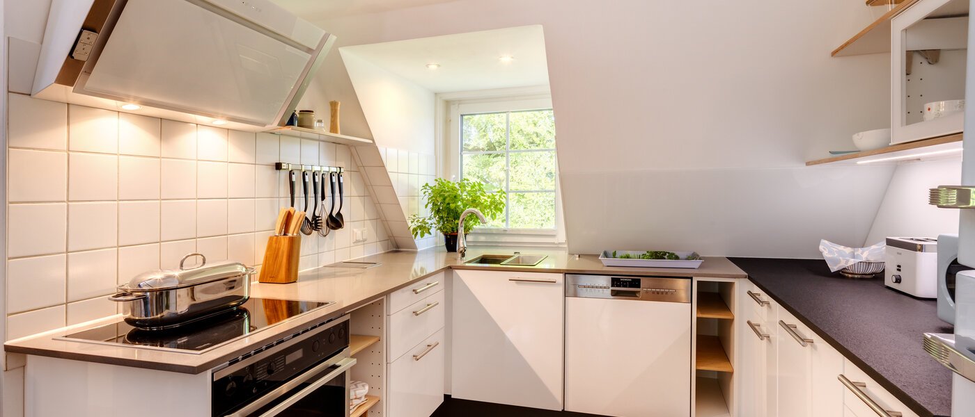 двухэтажная квартира-галерея München Ramersdorf 01 кухня 14556