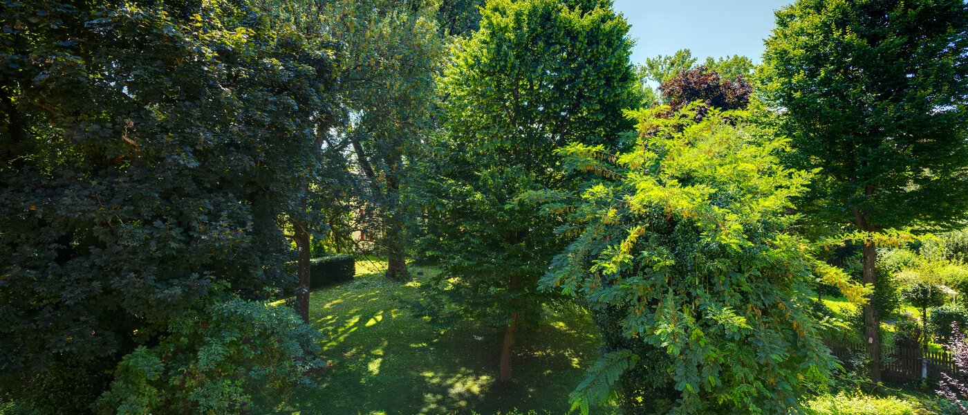 двухэтажная квартира-галерея München Ramersdorf 01 вид из окна 14556