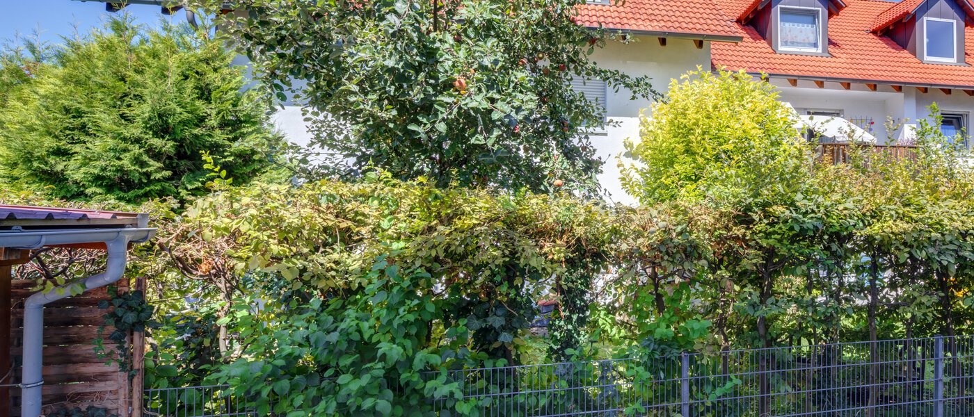 квартира Neufahrn b. Freising 01 вид из окна 14560