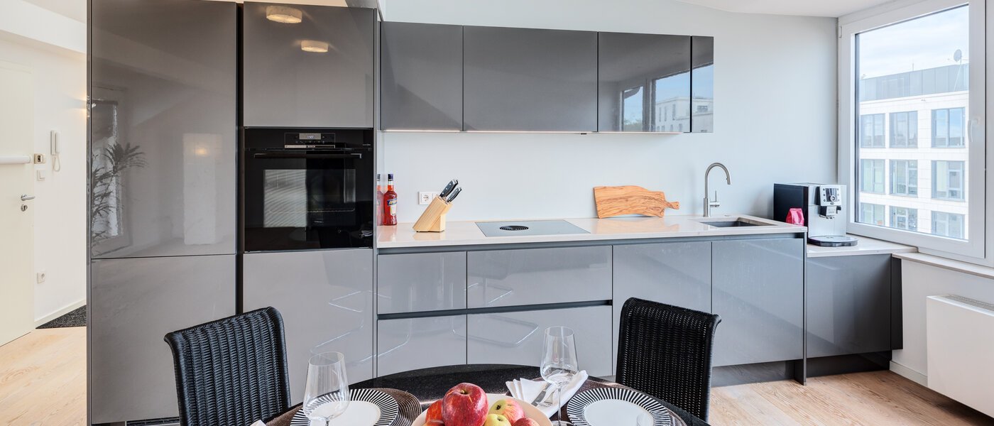 мансардная квартира München Maxvorstadt 01 кухня 14568