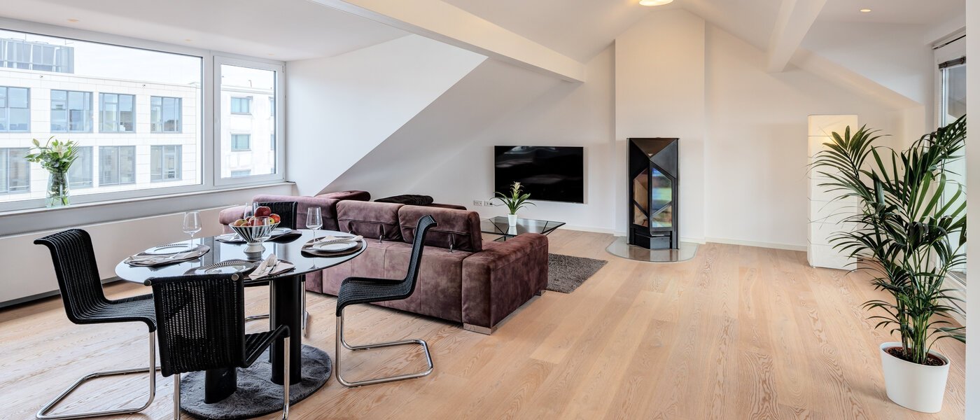 мансардная квартира München Maxvorstadt 02 жилое пространство 14568