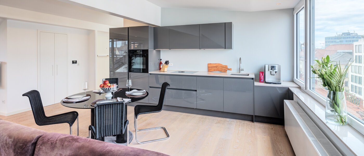 мансардная квартира München Maxvorstadt 05 жилое пространство 14568