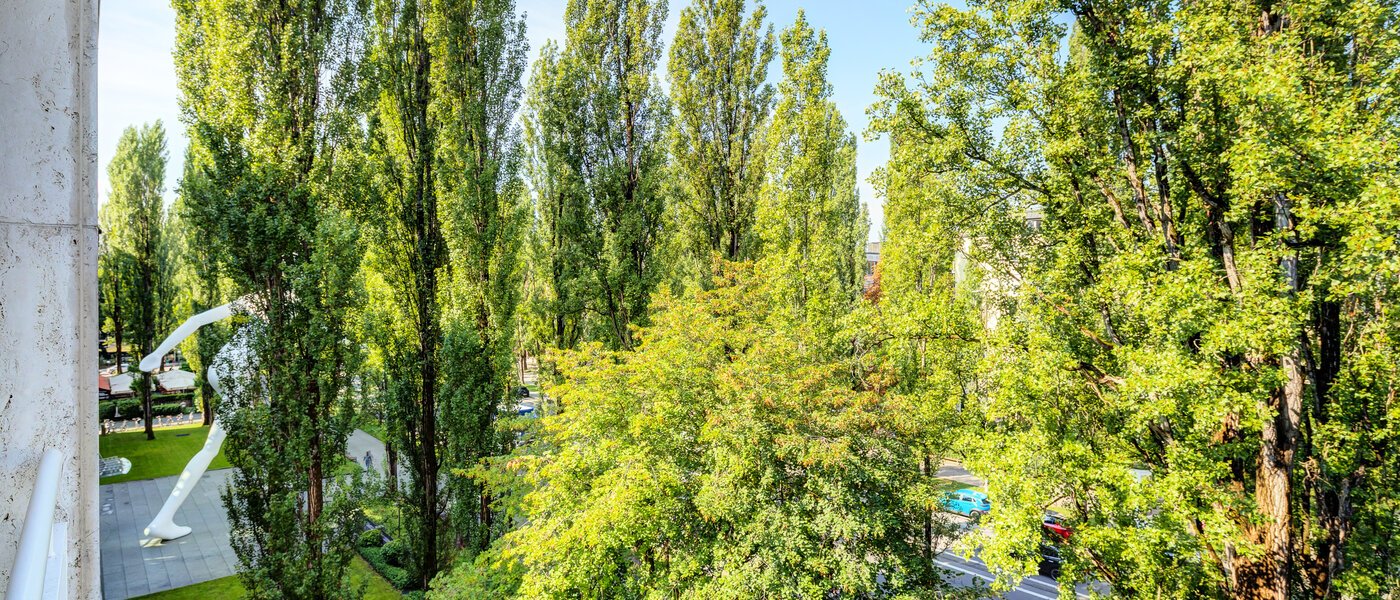 квартира München Schwabing (rechts der Leopoldstraße) 02 вид из окна 14569