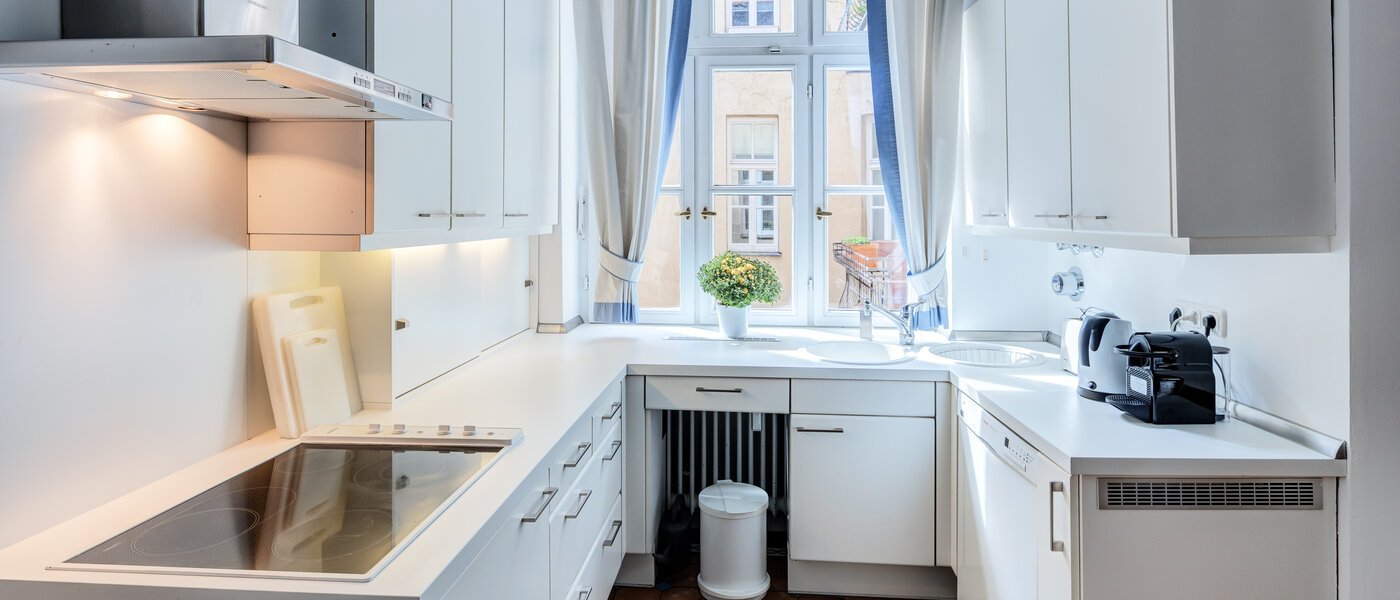 квартира München Lehel 02 кухня 14572