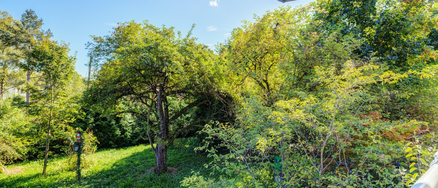 двухэтажная квартира Gröbenzell 04 вид из окна 14575