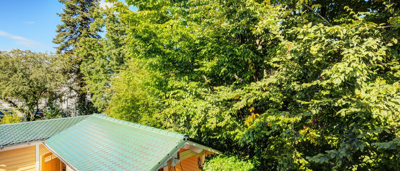 двухэтажная квартира Gröbenzell 05 вид из окна 14575