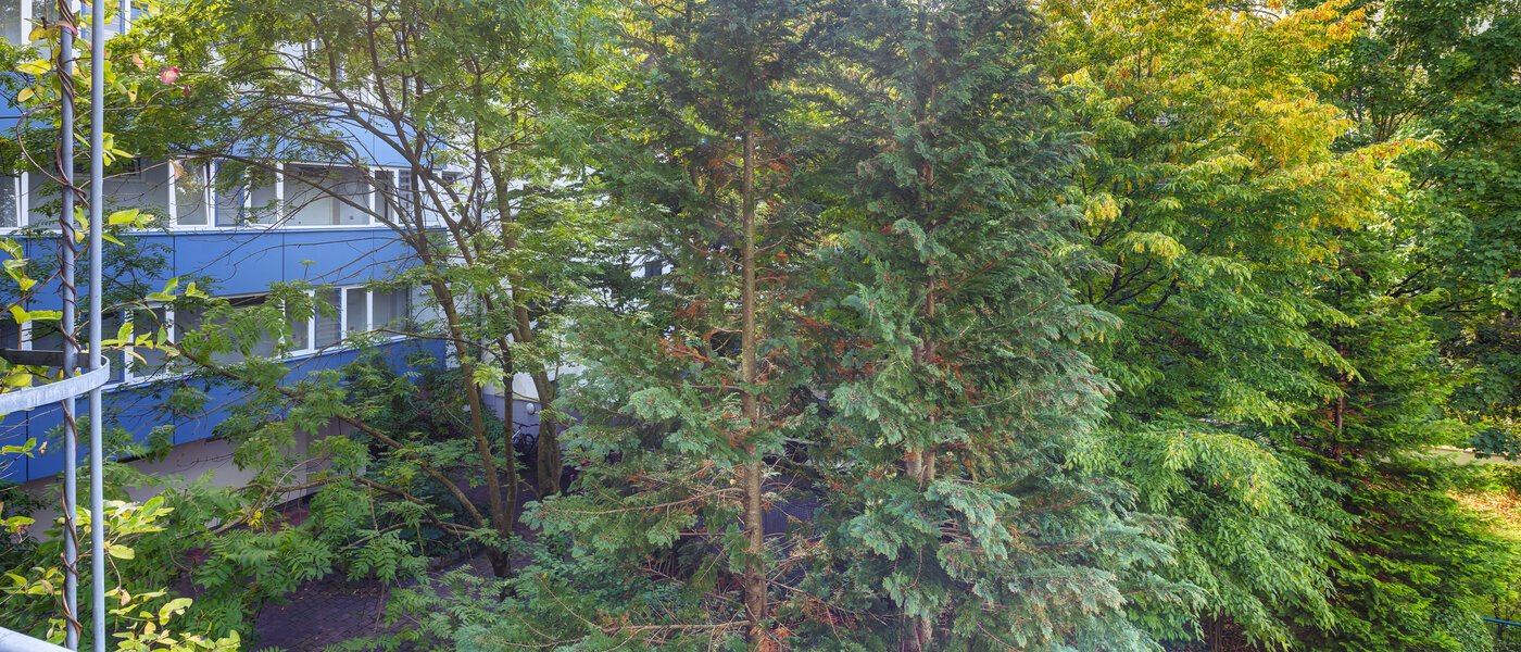 квартира München Obergiesing 01 вид из окна 14597