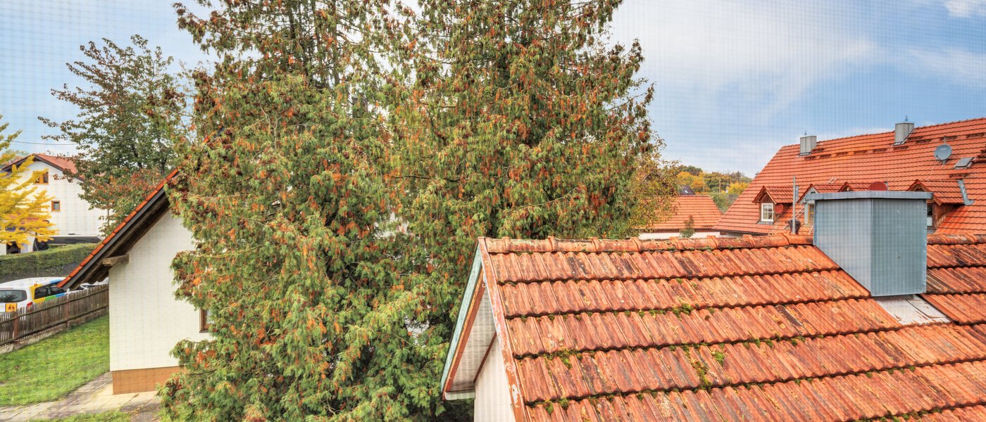 Особняк Ismaning 02 вид из окна 14615