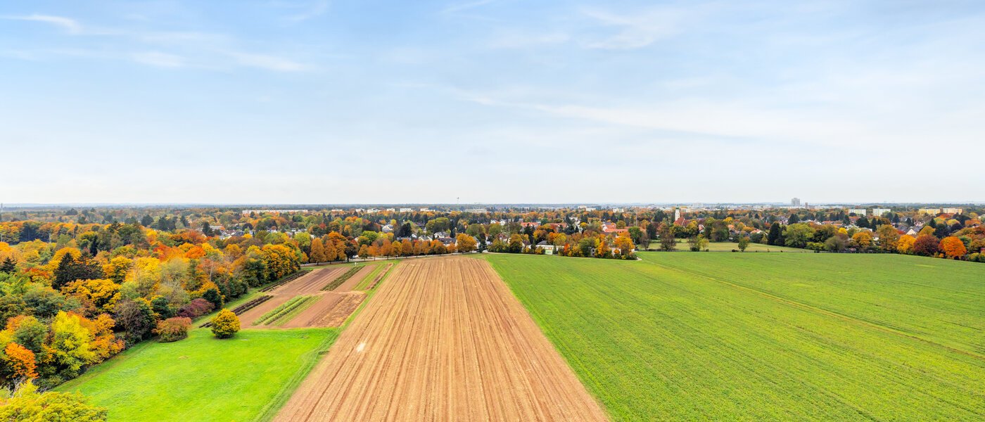 квартира München Parkstadt Solln 01 вид из окна 14617