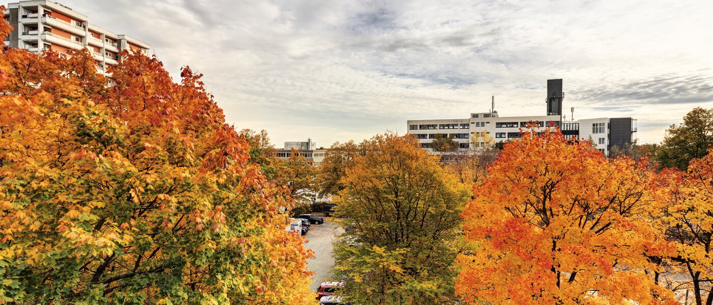 квартира Taufkirchen 01 вид из окна 14620