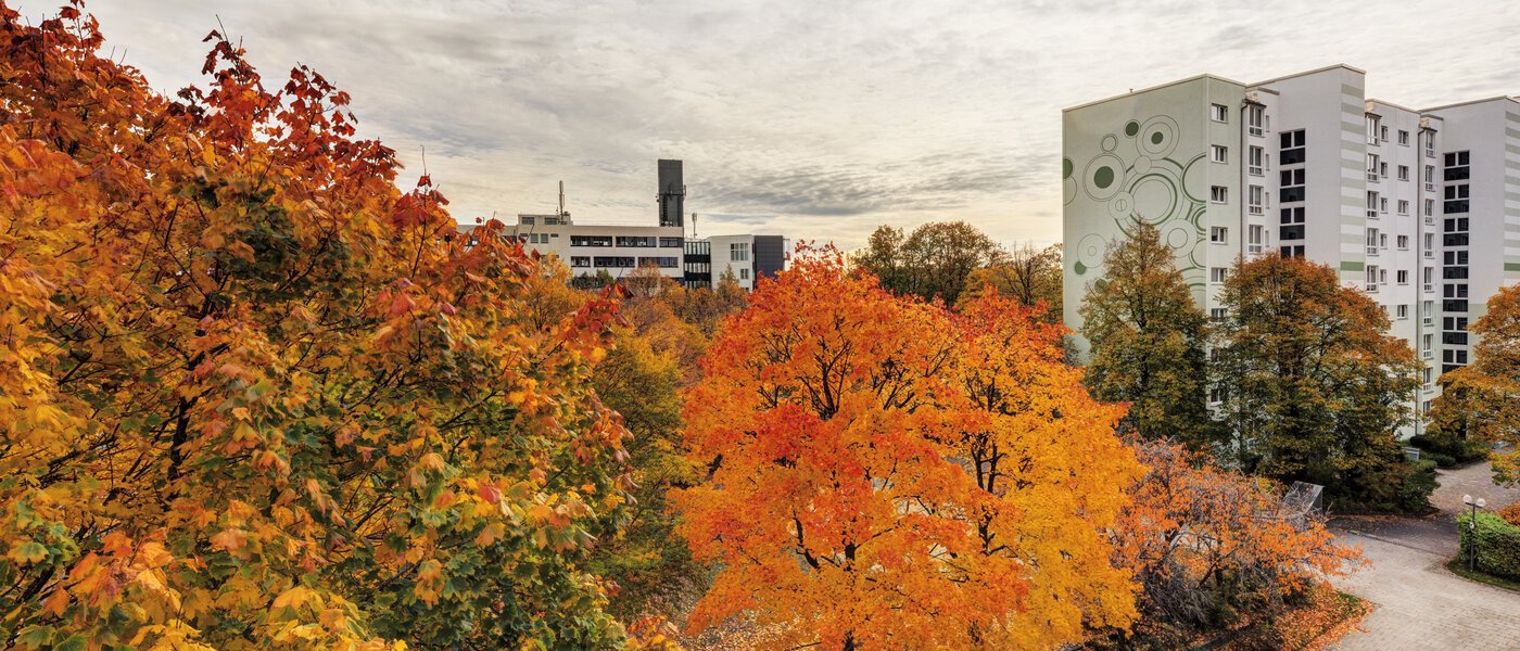 квартира Taufkirchen 02 вид из окна 14620