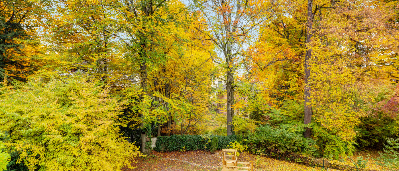 квартира München Harlaching 02 вид из окна 14629