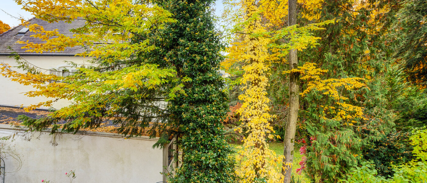 квартира München Harlaching 03 вид из окна 14629